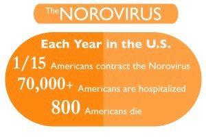 130205_Norovirus_INFO-300x200