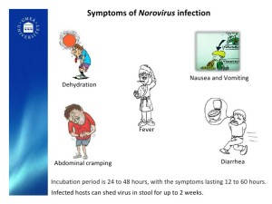 norovirus symptoms