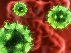 norovirus_cells_closeup