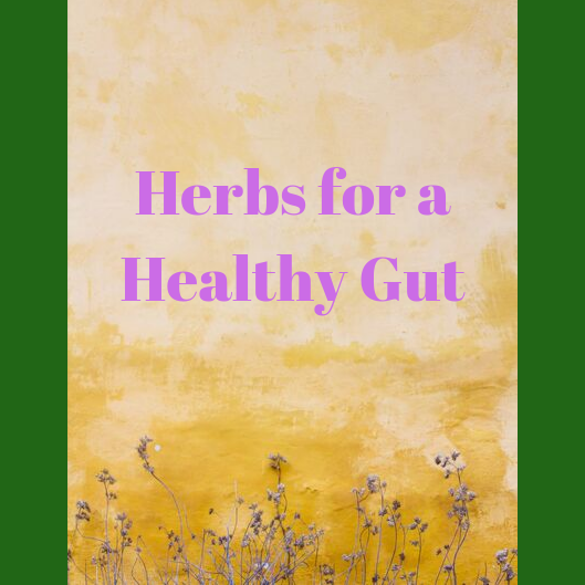 Herbs for a Healthy Gut theHERBAL CachetheHERBAL Cache Nature's
