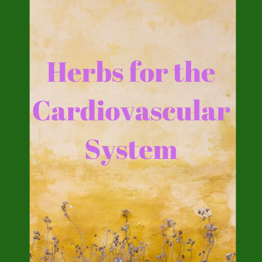 Herbs for the Cardiovascular System theHERBAL CachetheHERBAL Cache