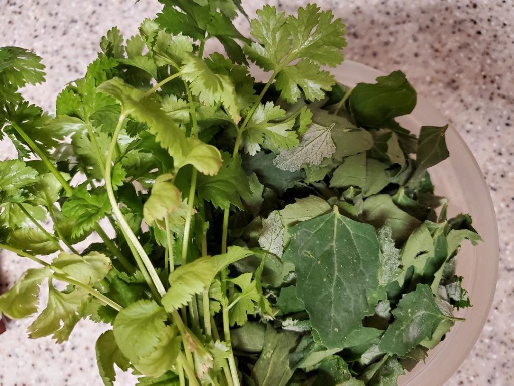 chives and lambs quarters