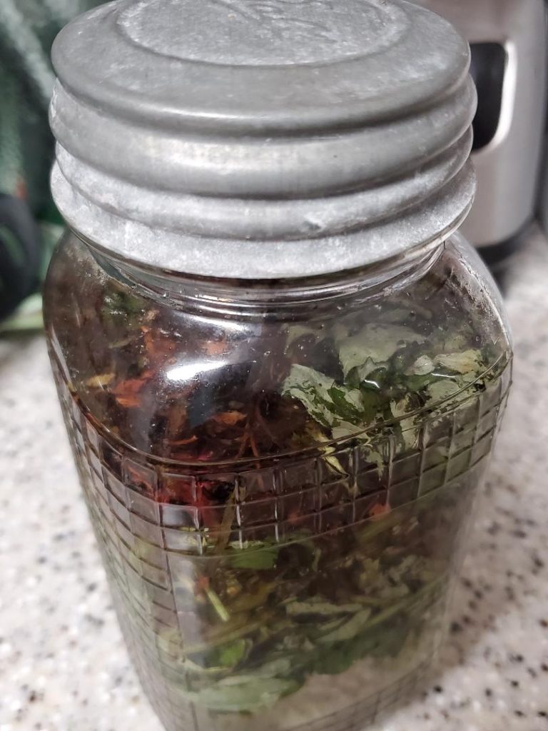 Virginia waterleaf tincture