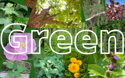 It’s not easy being green, or is it?