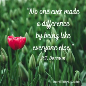 No one ever made a difference by being like everyone else