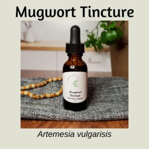 mugwort tincture
