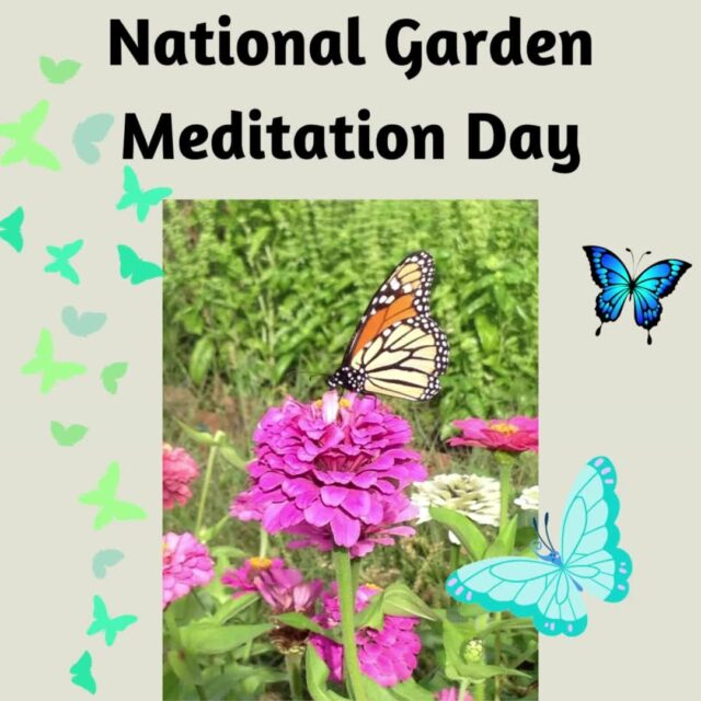 I hope you are able to spend a little time in your garden or just outside to meditate for a few minutes.⁠
⁠
Taking some time to just relax and reflect is important to maintain a sense of balance.⁠
⁠
And you just don't need to wait for today to do it. Try to make is a habit everyday.⁠
⁠
#nationalgardenmeditationday⁠
#meditate⁠
#senseofbalance⁠
#gardenserenity⁠
#senseofpeace⁠
#reflection⁠
#theherbalcache