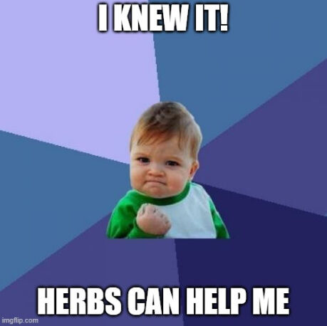 Using herbs in everyday cooking is an easy way to get them into your diet and benefit from their medicinal qualities.⁠
⁠
Culinary herbs, such as sage and oregano, are good for digestion.⁠
⁠
Peppermint can help boost your mood.⁠
⁠
Rosemary helps to improve your memory.⁠
⁠
And the list goes on. To learn more about how herbs can help you, check out my website, www.theherbalcache.com. I share all kinds of herbal information to help you live a more healthy life.⁠
⁠
#helpfulherbs⁠
#naturalwellness⁠
#herbalmedicine⁠
#plantwisdom⁠
#weedremedy⁠
#plantremedy⁠
#herbalwellness⁠
#naturespharmacy⁠
#theherbalcache